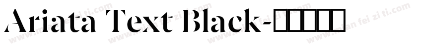 Ariata Text Black字体转换